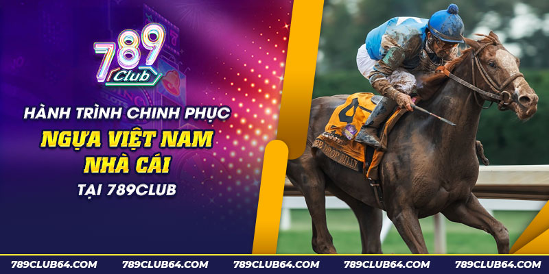 52 hanh trinh chinh phuc ngua viet nam nha cai tai 789club