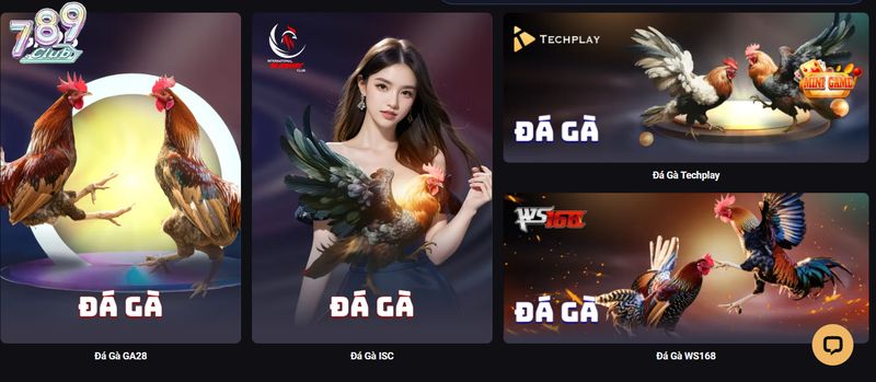 Khám phá tổng quan game Đá gà ISC đỉnh cao