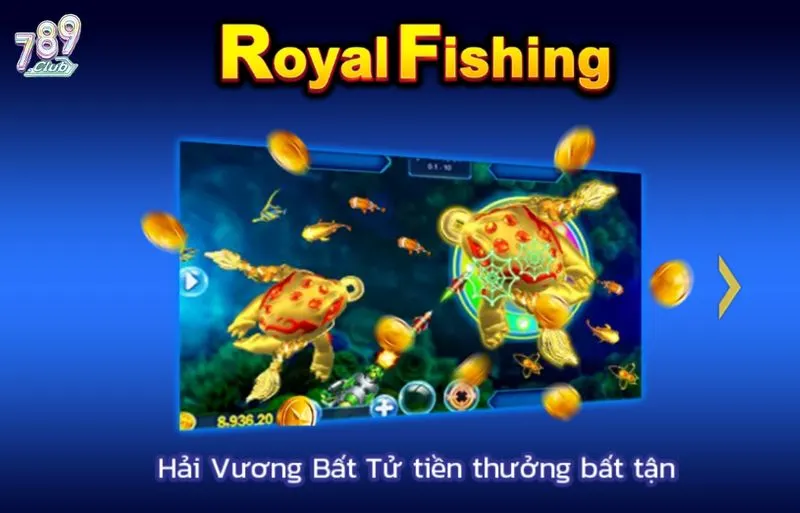 Bật mí kinh nghiệm săn cá hay cho bet thủ mới