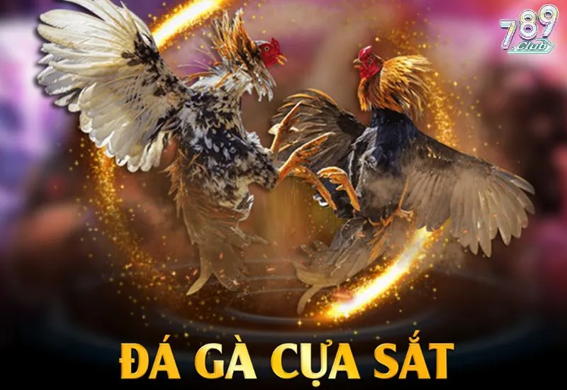 Những bí quyết "vàng" giúp tân thủ thắng lớn